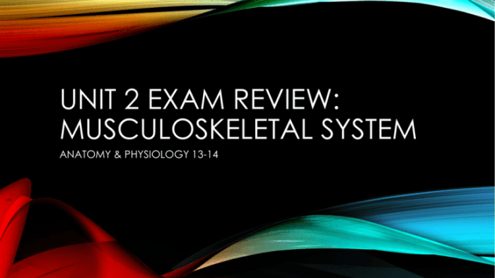 Jarvis chapter 23 musculoskeletal system