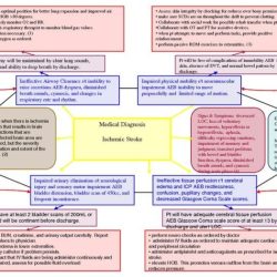 Hesi case study copd with pneumonia