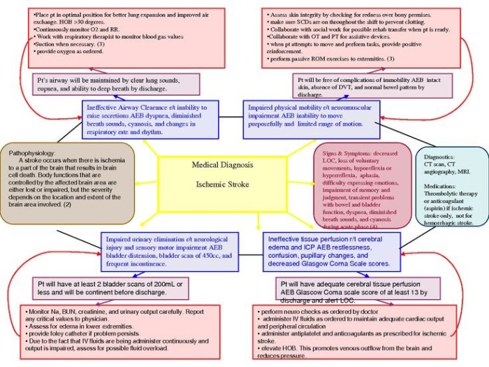 Hesi case study copd with pneumonia