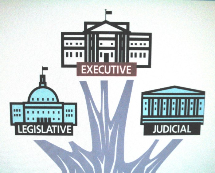 Three branches of government webquest