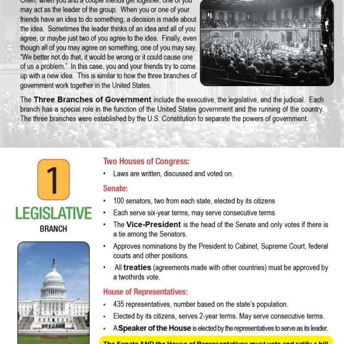 Three branches of government webquest