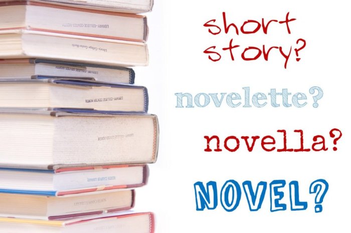 Novel and short story difference