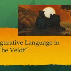 Figurative language in the veldt