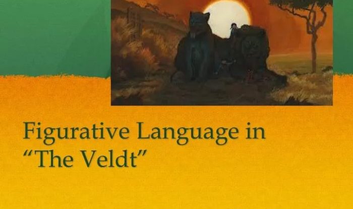 Figurative language in the veldt