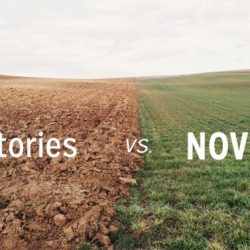 Novel and short story difference