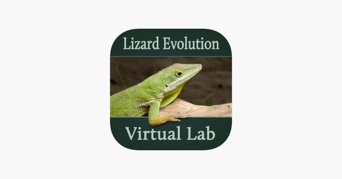 Virtual lab lizard evolution virtual lab answers