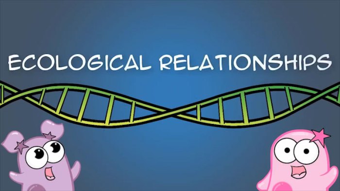 Amoeba sisters ecological relationships answer key pdf