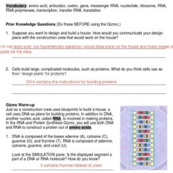 Gizmo student exploration building dna answer key