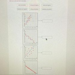 Match each graph with a description of its correlation.