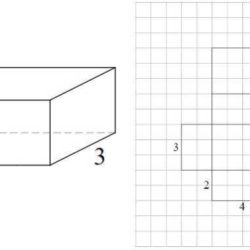 Unit 11 volume and surface area homework 5