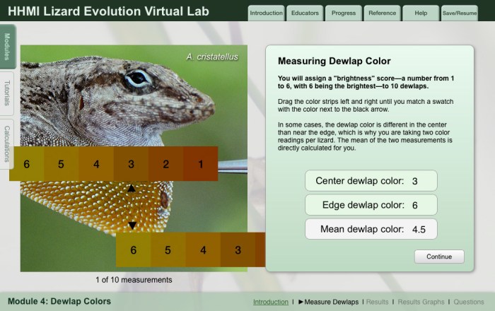 Virtual lab lizard evolution virtual lab answers