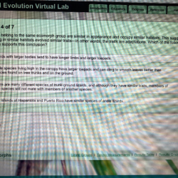 Virtual lab lizard evolution virtual lab answers