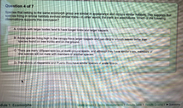 Virtual lab lizard evolution virtual lab answers