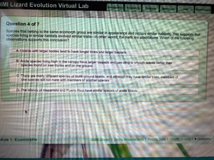 Virtual lab lizard evolution virtual lab answers